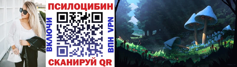 mega ONION  Дубовка  Галлюциногенные грибы Psilocybe  где продают  